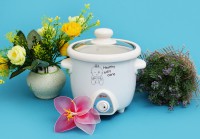 Nồi chưng yến, nấu cháo đa năng nắp thủy tinh Baby Care chính hảng 100%